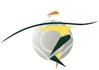 Logo for Nationals
